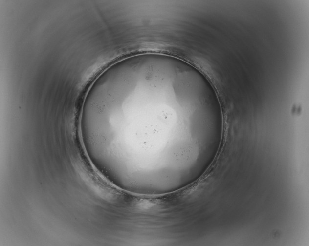 X0000111450346200907131334