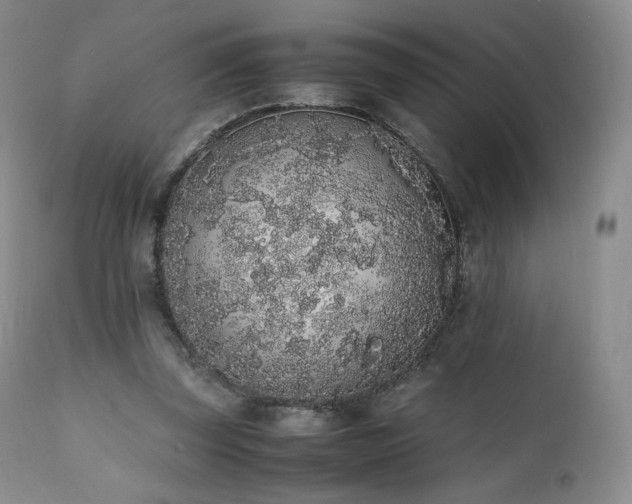 X0000111450347200907131334