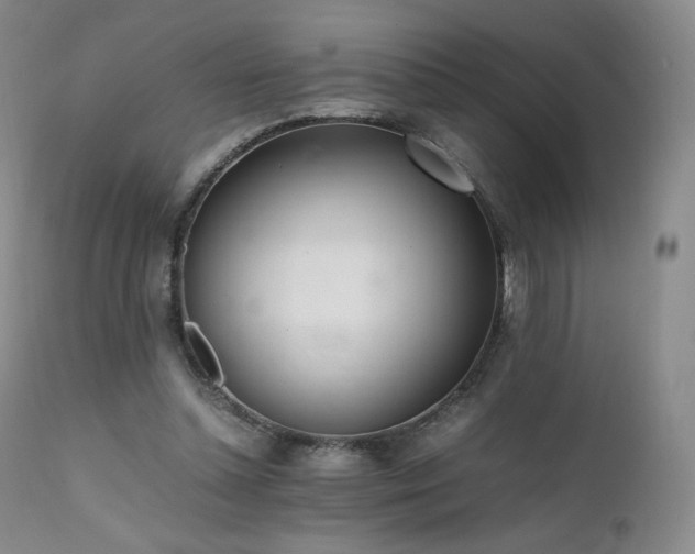 X0000111450348200907131334