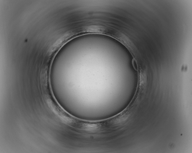 X0000111450349200907131334