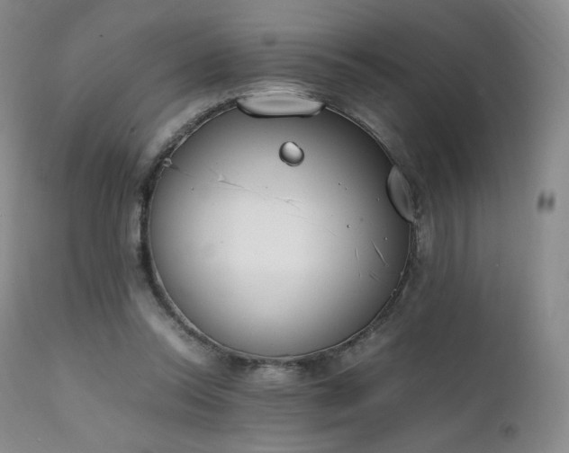 X0000111450350200907131334