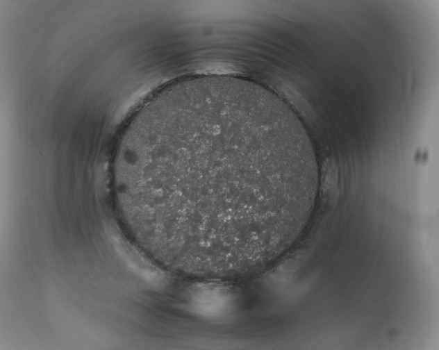 X0000111450351200907131334