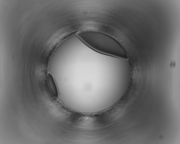 X0000111450352200907131334