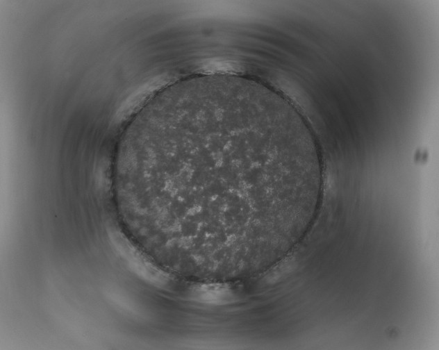 X0000111450353200907131334