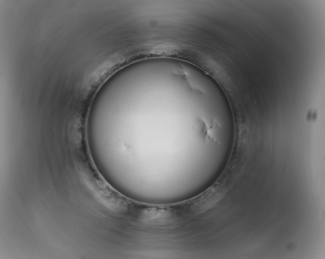 X0000111450354200907131334