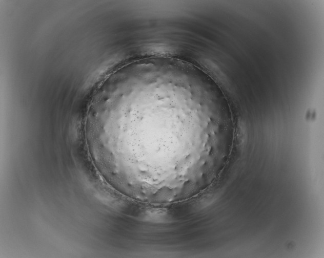 X0000111450355200907131334