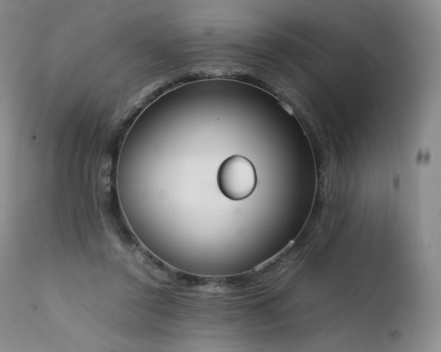 X0000111450356200907131334