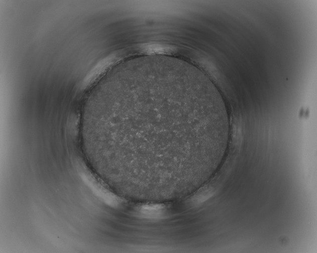 X0000111450357200907131334