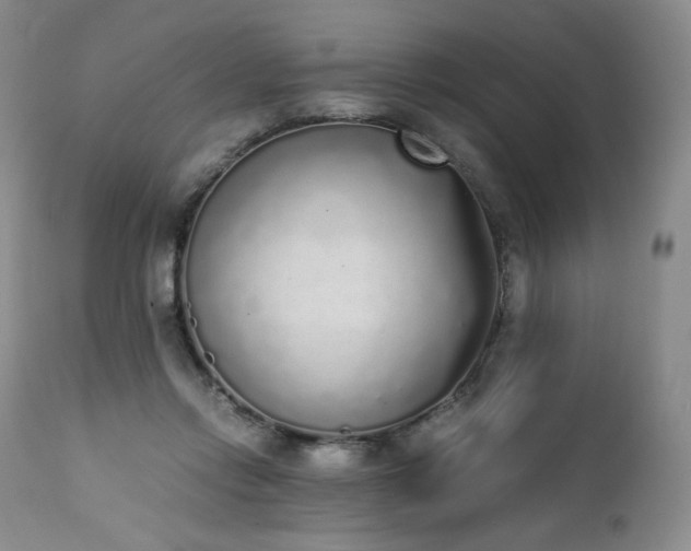 X0000111450358200907131334