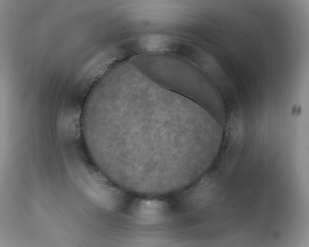 X0000111450360200907131334
