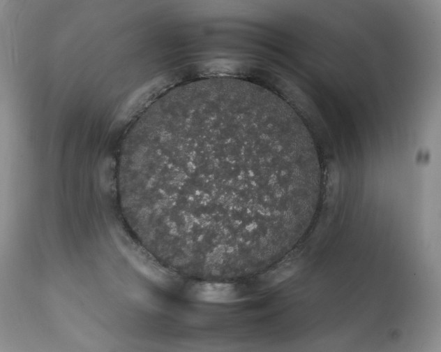 X0000111450361200907131334