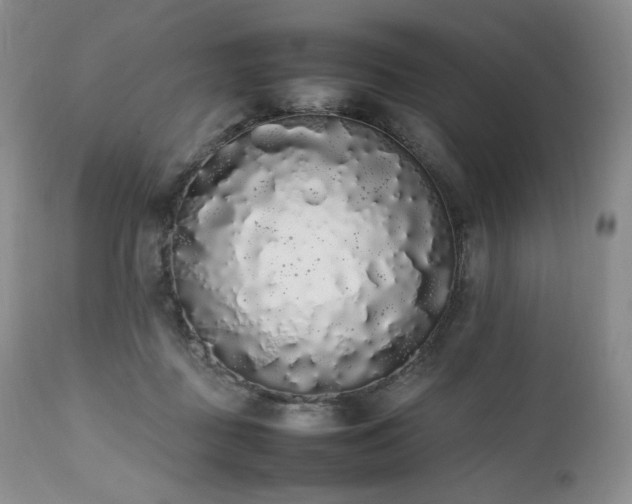 X0000111450363200907131334