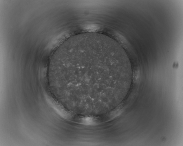 X0000111450365200907131334