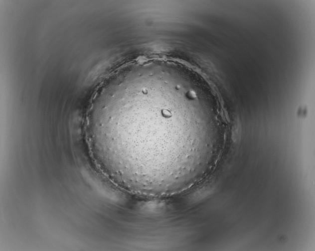 X0000111450366200907131334