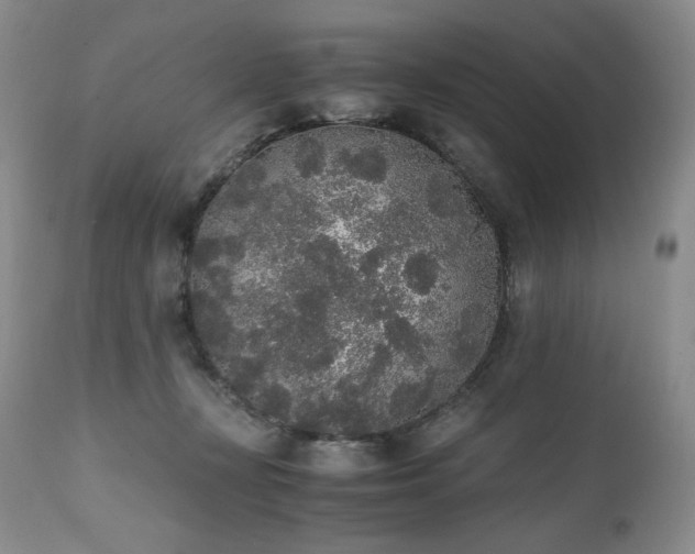 X0000111450367200907131334