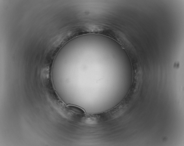 X0000111450368200907131334