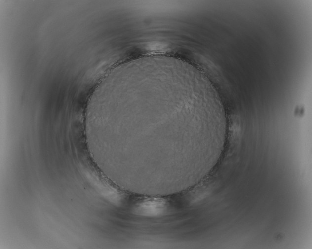 X0000111450369200907131334