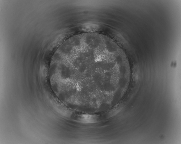 X0000111450371200907131334