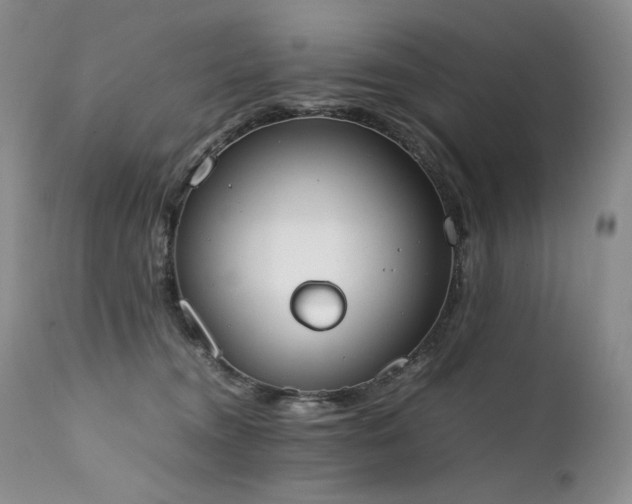 X0000111450372200907131334