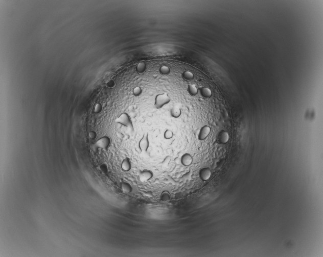X0000111450373200907131334