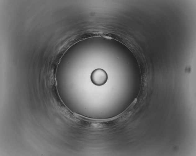 X0000111450376200907131334