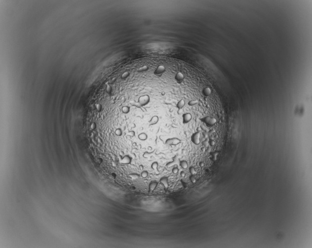 X0000111450377200907131334