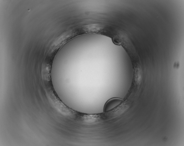 X0000111450378200907131334