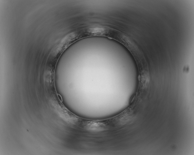 X0000111450379200907131334