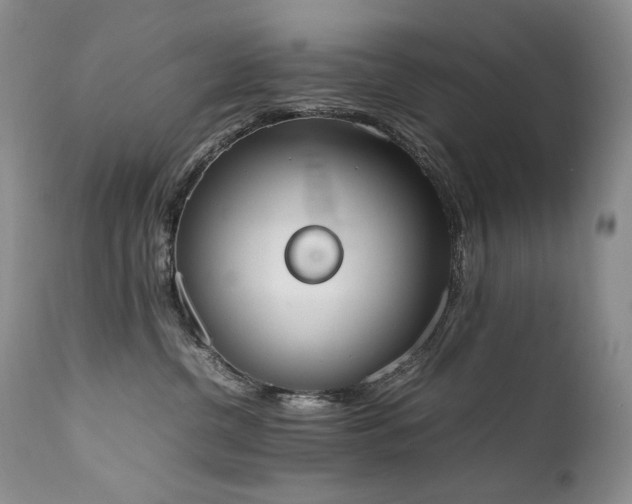 X0000111450380200907131334