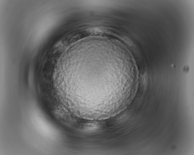 X0000111450381200907131334