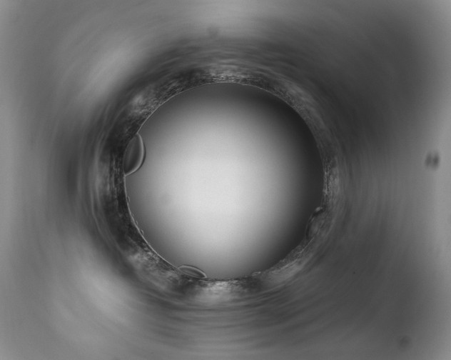 X0000111450382200907131334