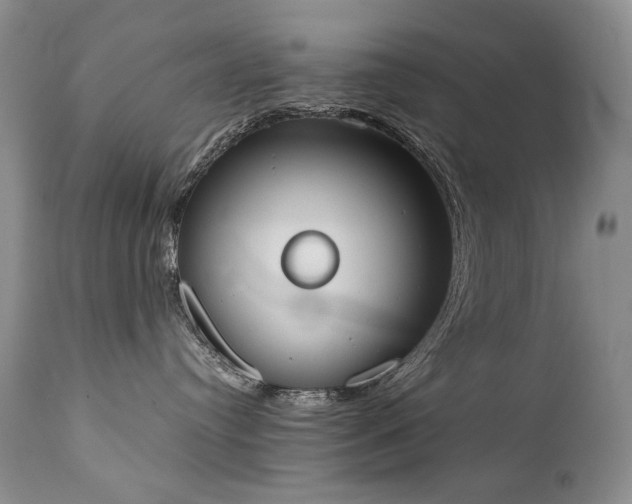 X0000111450384200907131334