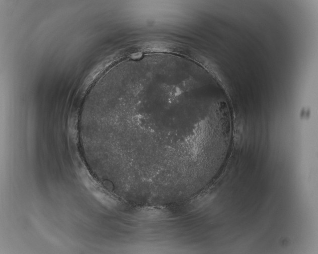X0000111450386200907131334