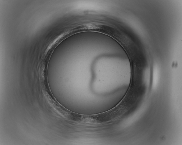 X0000111450387200907131334
