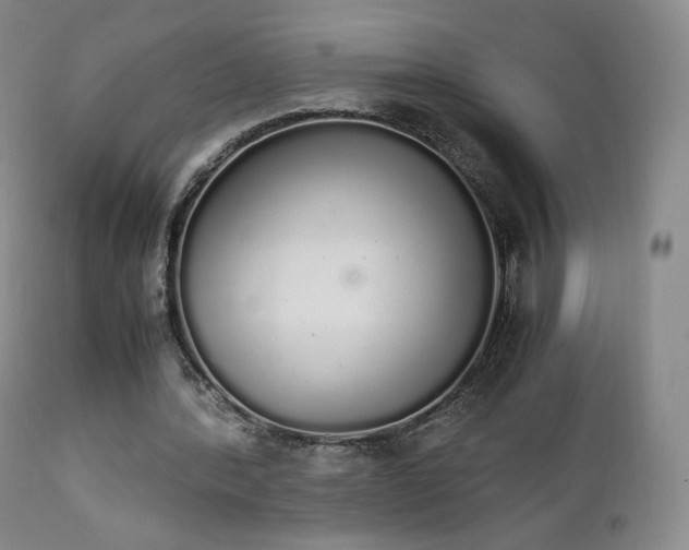 X0000111450388200907131334
