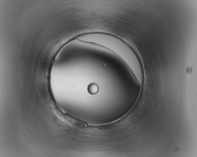 X0000111450389200907131334