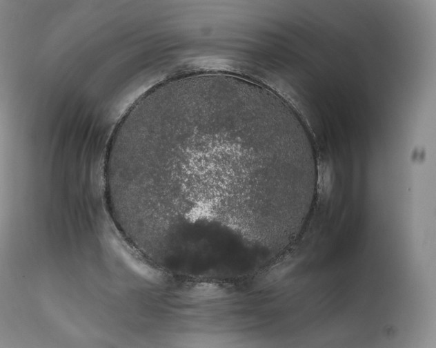 X0000111450390200907131334