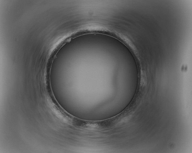 X0000111450391200907131334