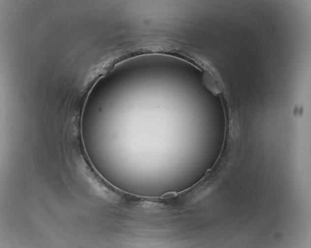 X0000111450393200907131334