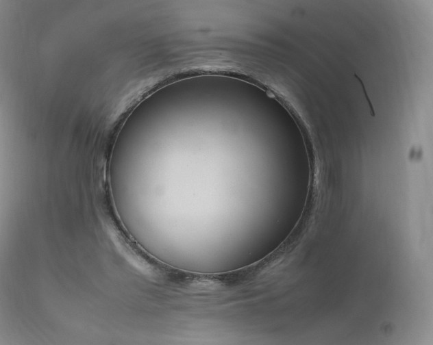 X0000111450397200907131334