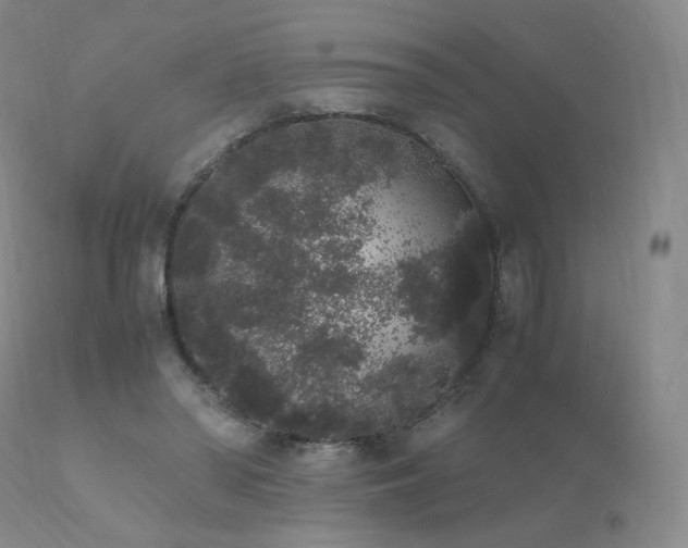 X0000111450398200907131334