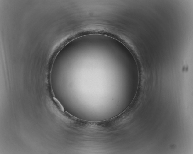 X0000111450399200907131334