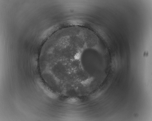 X0000111450402200907131334