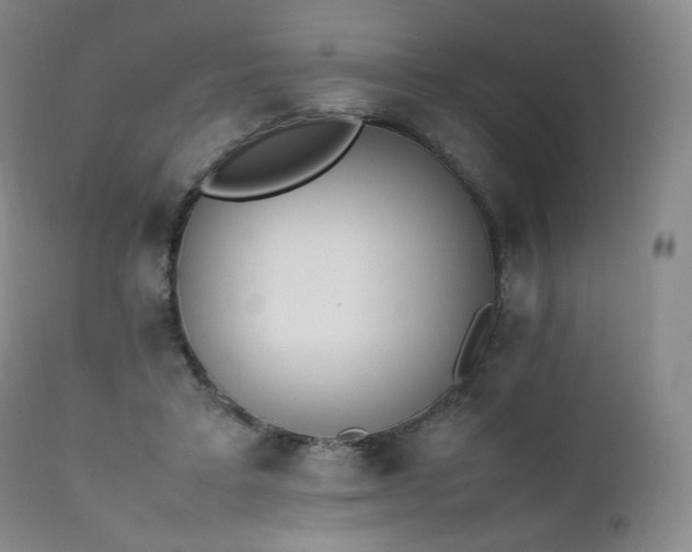 X0000111450403200907131334