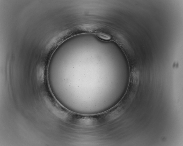 X0000111450404200907131333