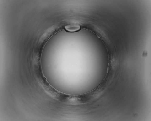 X0000111450407200907131333