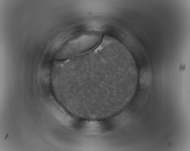 X0000111450409200907131333