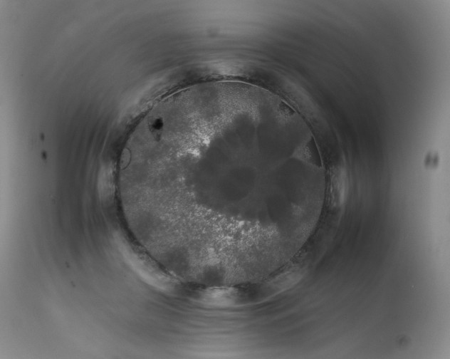 X0000111450410200907131333