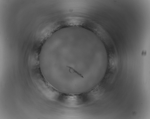 X0000111450411200907131333