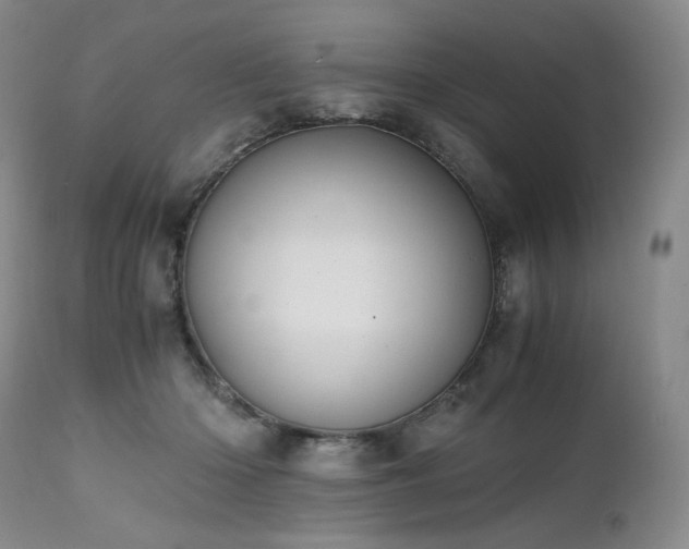X0000111450414200907131333